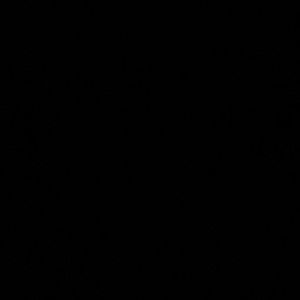 Meet your Posher, Briana